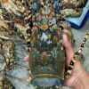 Lobster