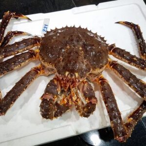 King Crab