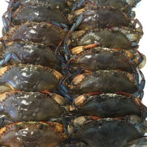Live Crabs