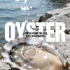 Oyster