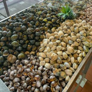 Snails